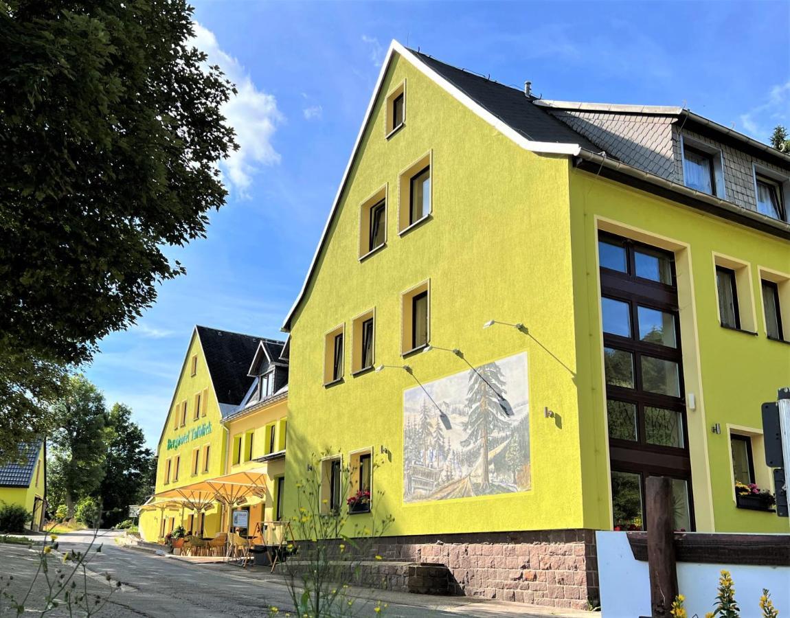 Berghotel Talblick Holzhau Exterior photo