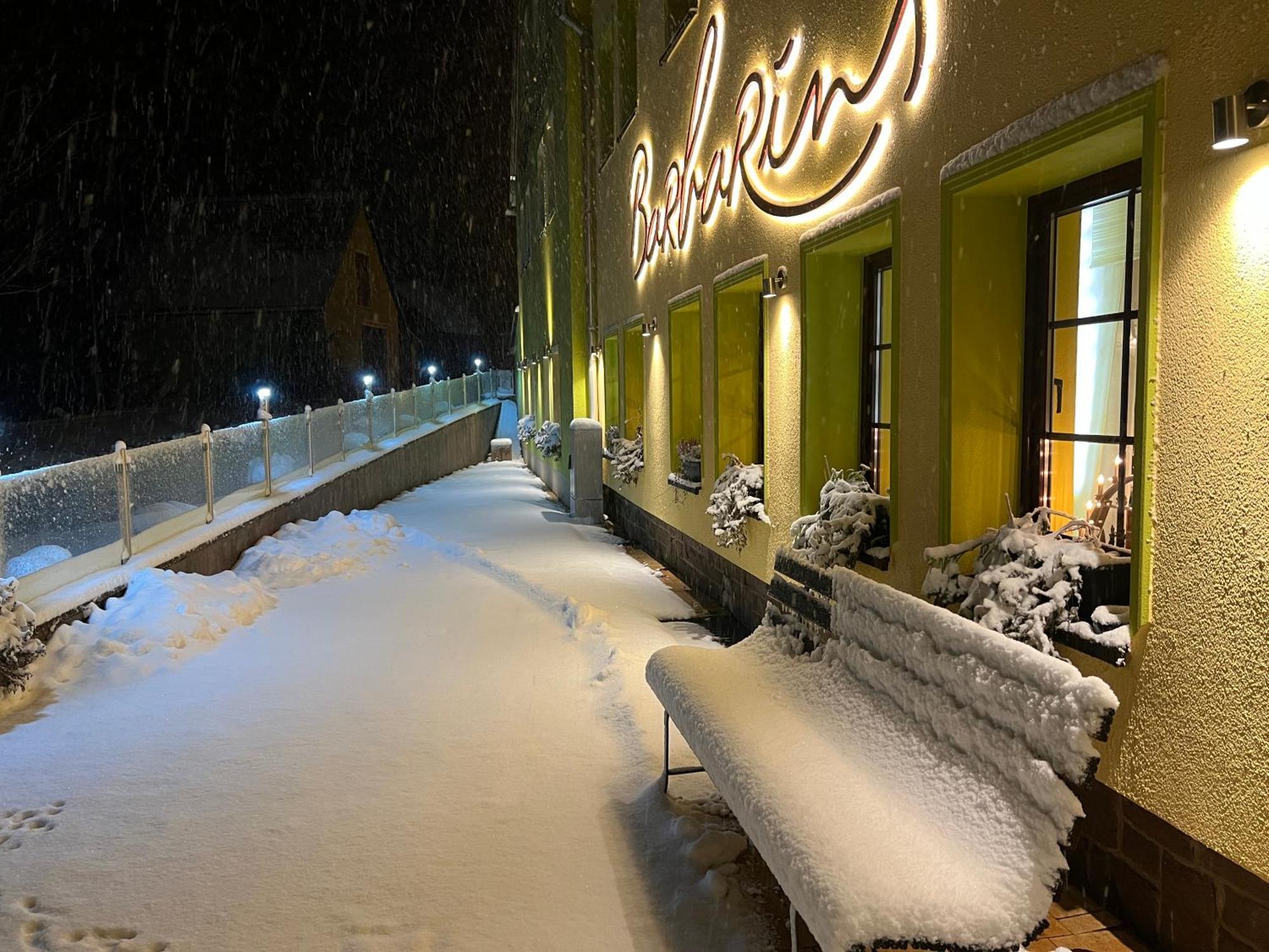Berghotel Talblick Holzhau Exterior photo